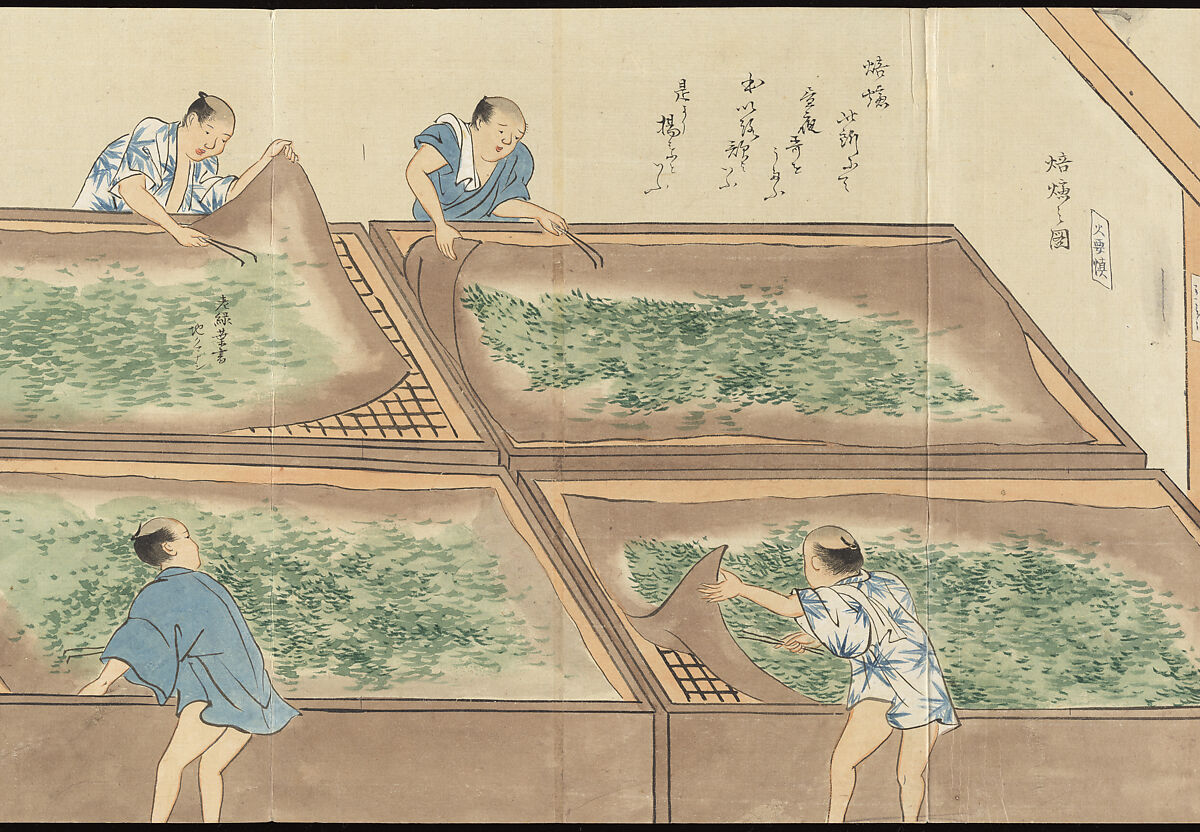 Illustrations of Uji Tea Production, Painting by Saitō Motonari (Japanese, active ca. 1800), Handscroll of thirty-two sheets reformatted as a folding album (orihon), Japan