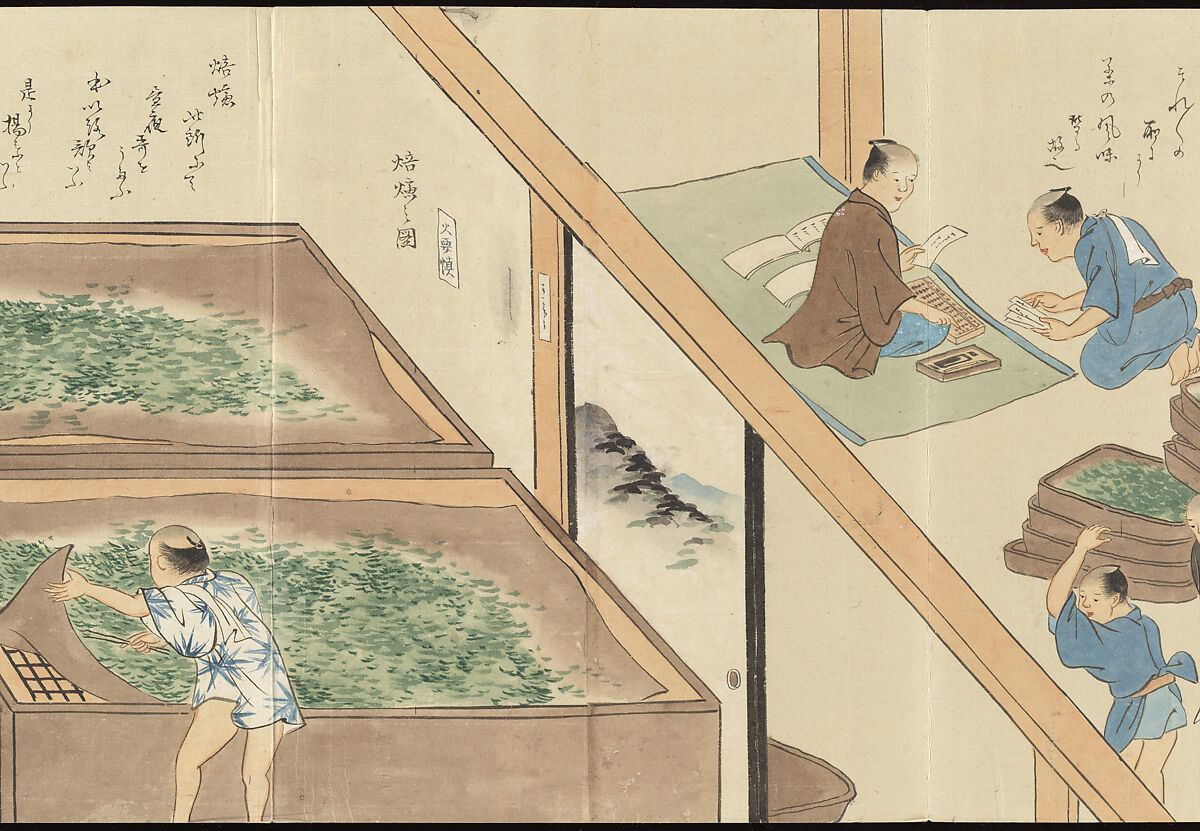 Illustrations of Uji Tea Production, Painting by Saitō Motonari (Japanese, active ca. 1800), Handscroll of thirty-two sheets reformatted as a folding album (orihon), Japan