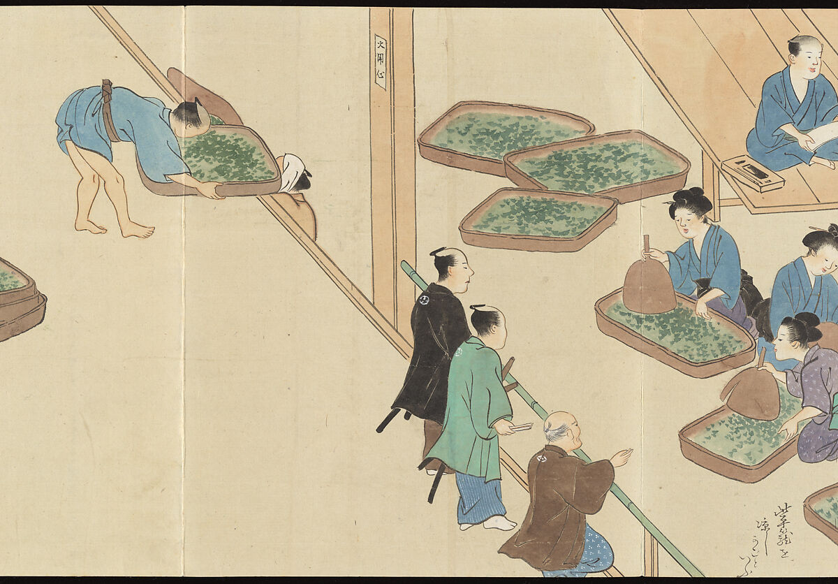 Illustrations of Uji Tea Production, Painting by Saitō Motonari (Japanese, active ca. 1800), Handscroll of thirty-two sheets reformatted as a folding album (orihon), Japan
