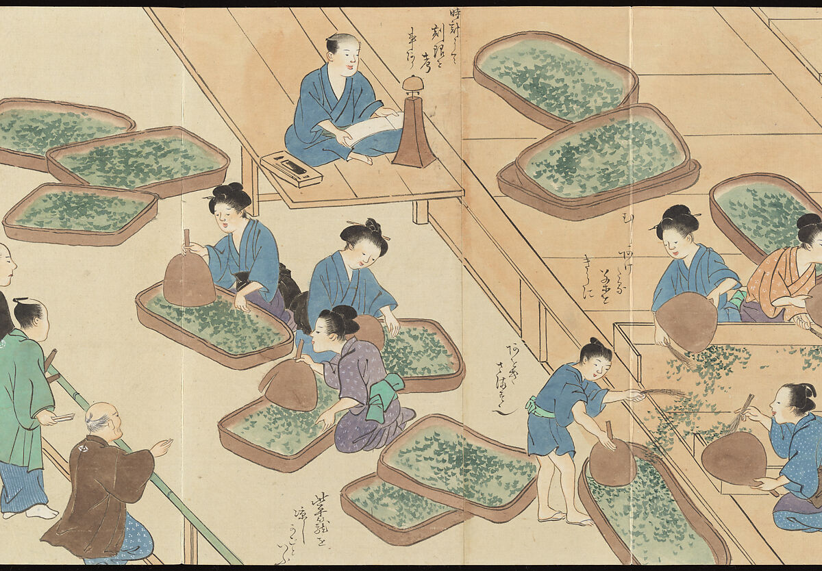 Illustrations of Uji Tea Production, Painting by Saitō Motonari (Japanese, active ca. 1800), Handscroll of thirty-two sheets reformatted as a folding album (orihon), Japan