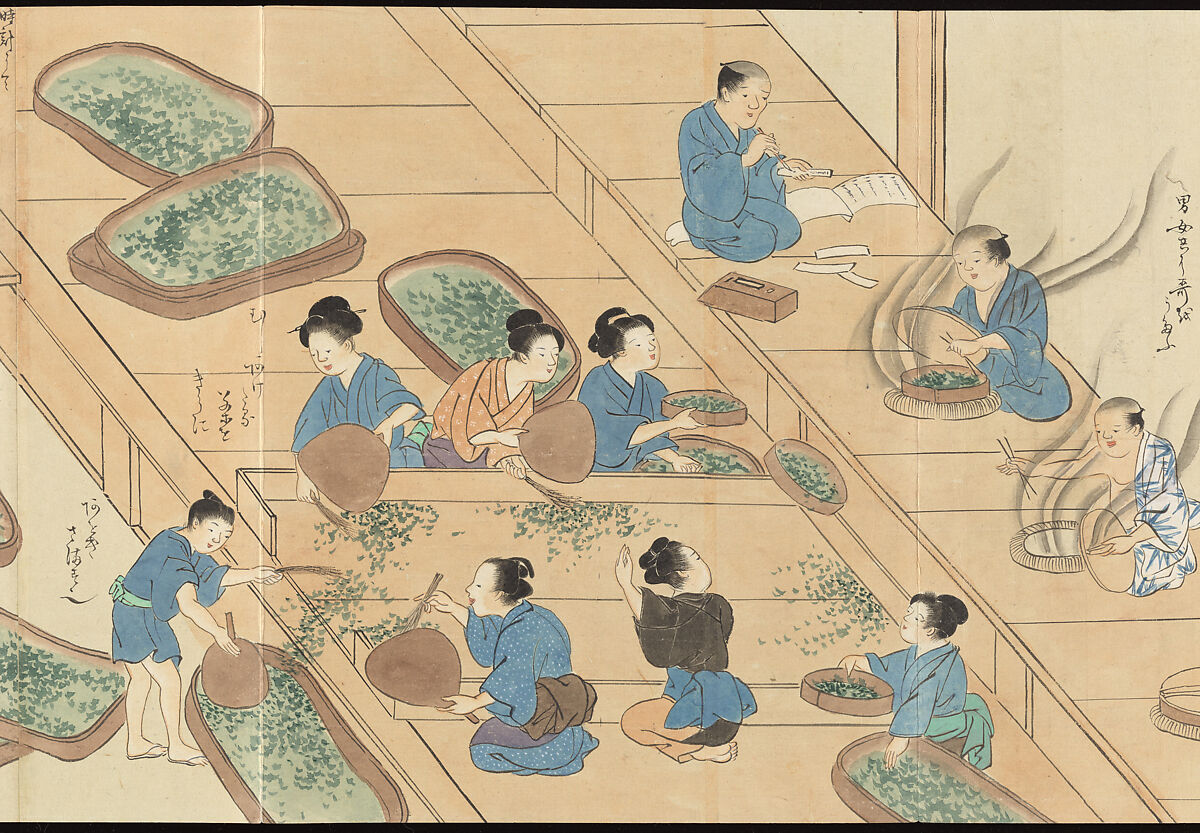 Illustrations of Uji Tea Production, Painting by Saitō Motonari (Japanese, active ca. 1800), Handscroll of thirty-two sheets reformatted as a folding album (orihon), Japan
