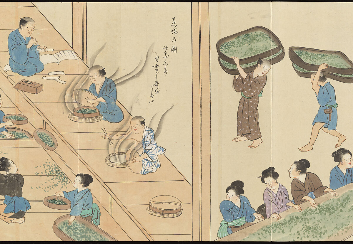 Illustrations of Uji Tea Production, Painting by Saitō Motonari (Japanese, active ca. 1800), Handscroll of thirty-two sheets reformatted as a folding album (orihon), Japan