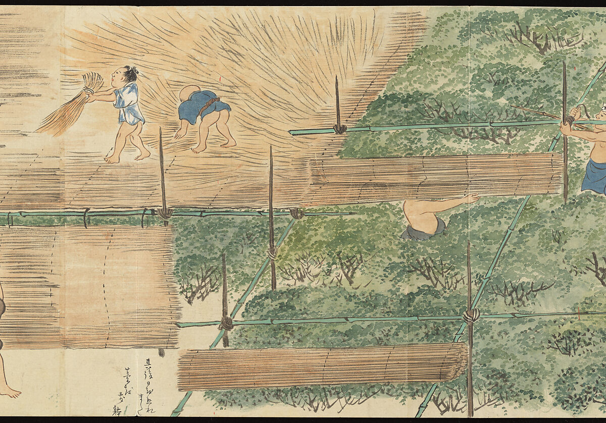 Illustrations of Uji Tea Production, Painting by Saitō Motonari (Japanese, active ca. 1800), Handscroll of thirty-two sheets reformatted as a folding album (orihon), Japan