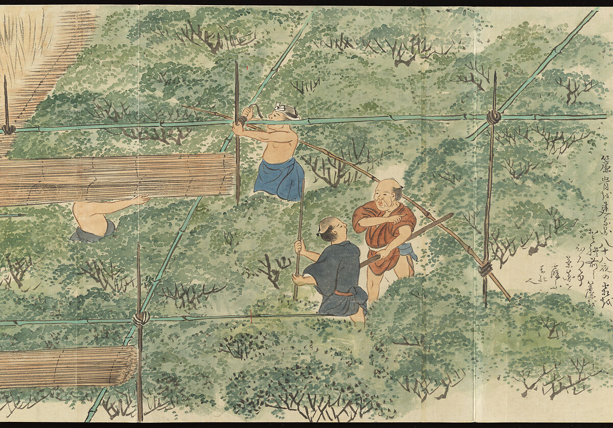 Illustrations of Uji Tea Production, Painting by Saitō Motonari (Japanese, active ca. 1800), Handscroll of thirty-two sheets reformatted as a folding album (orihon), Japan
