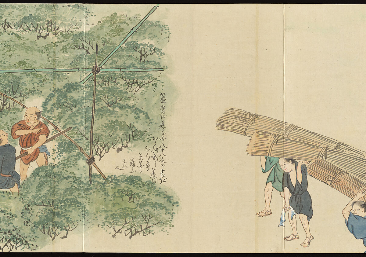 Illustrations of Uji Tea Production, Painting by Saitō Motonari (Japanese, active ca. 1800), Handscroll of thirty-two sheets reformatted as a folding album (orihon), Japan