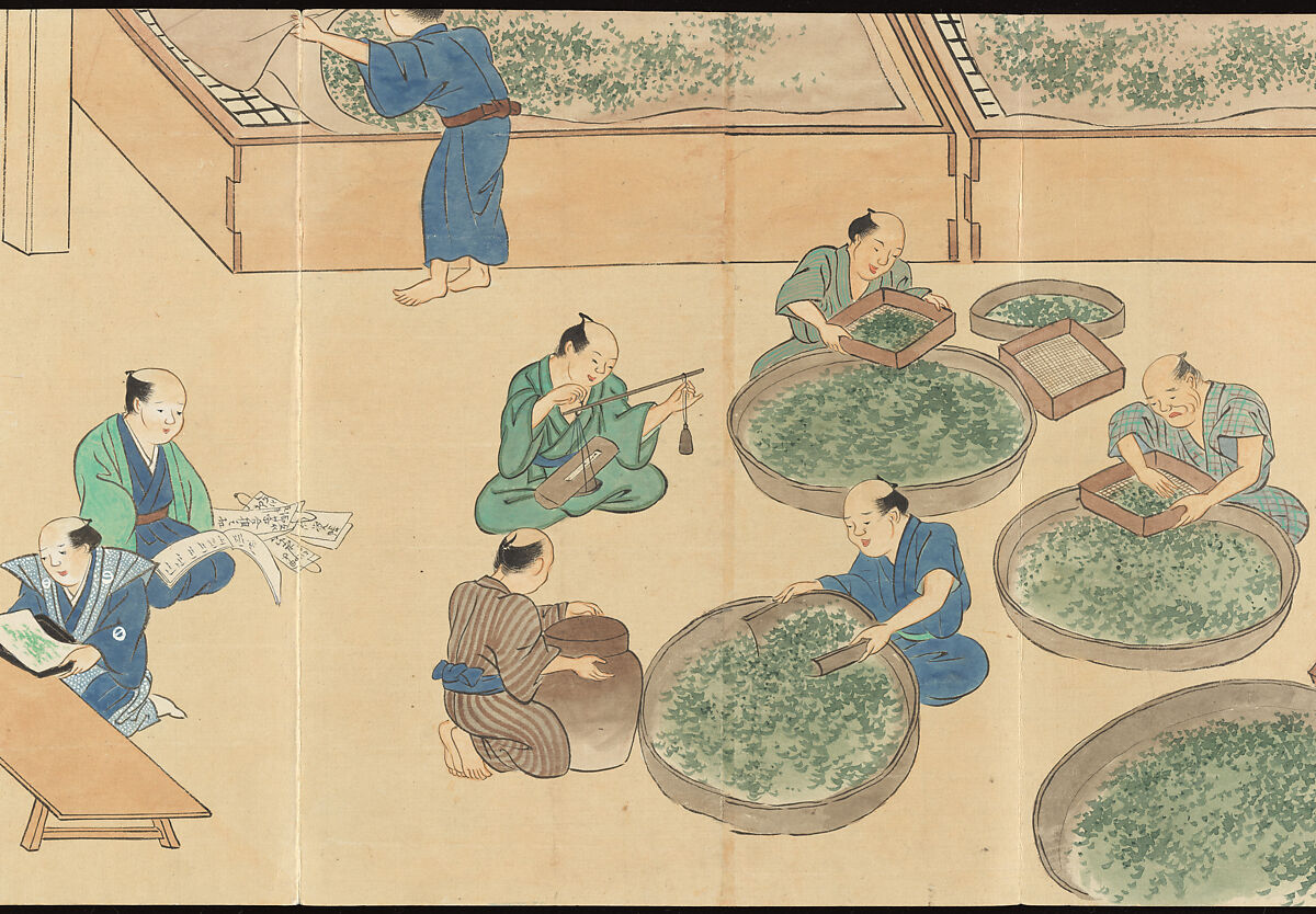 Illustrations of Uji Tea Production, Painting by Saitō Motonari (Japanese, active ca. 1800), Handscroll of thirty-two sheets reformatted as a folding album (orihon), Japan