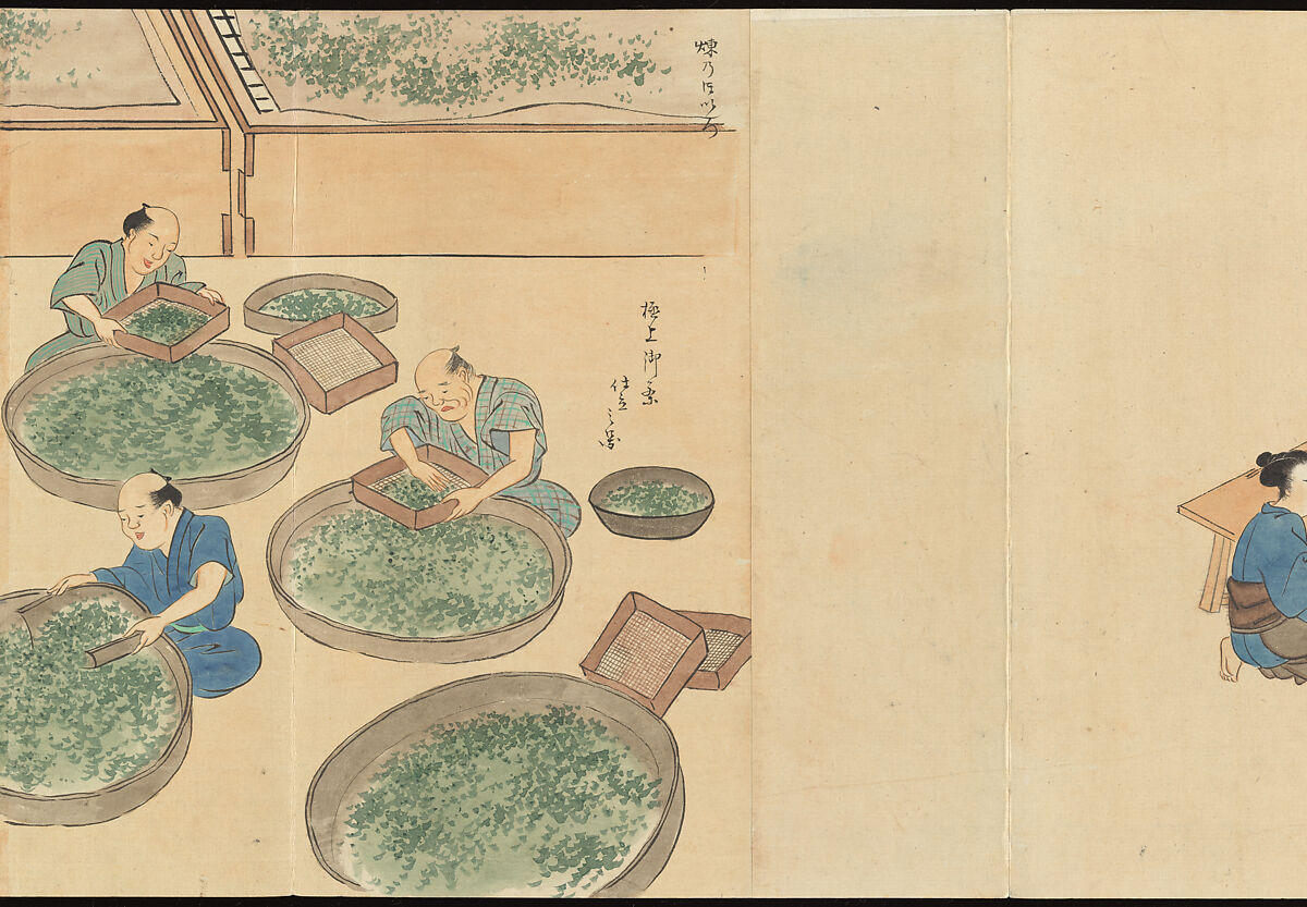 Illustrations of Uji Tea Production, Painting by Saitō Motonari (Japanese, active ca. 1800), Handscroll of thirty-two sheets reformatted as a folding album (orihon), Japan