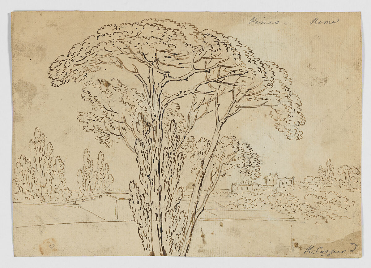 Pinco Rome (Roman Pines) (recto), Foliage sketches (verso), Richard Cooper II (British, Edinburgh, Scotland 1740–1822 Eltham, Kent), Graphite, pen and iron gall ink and wash (recto and verso) 