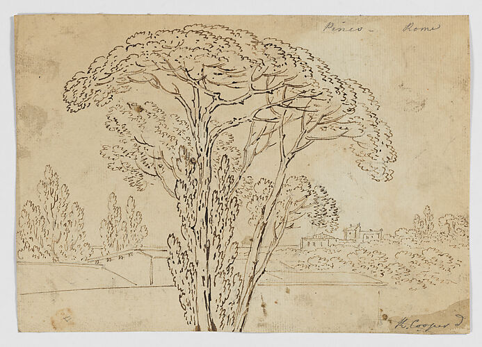 Pinco Rome (Roman Pines) (recto), Foliage sketches (verso)