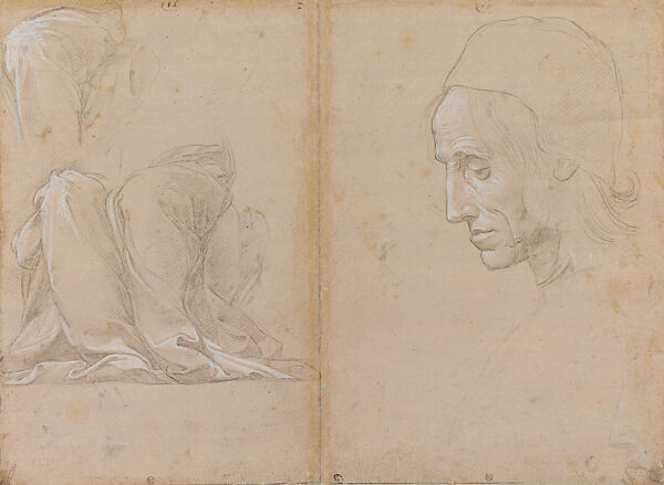 Sketches of Infants; the Virgin and Child (recto), Two Studies for Draperies on a Seated Figure; Head of a Man in Profile (verso), Raphael (Raffaello Sanzio or Santi) (Italian, Urbino 1483–1520 Rome), Pen and brown ink, over leadpoint underdrawing (recto), metalpoint, highlighted with white gouache, on paper prepared yellowish pink (verso)