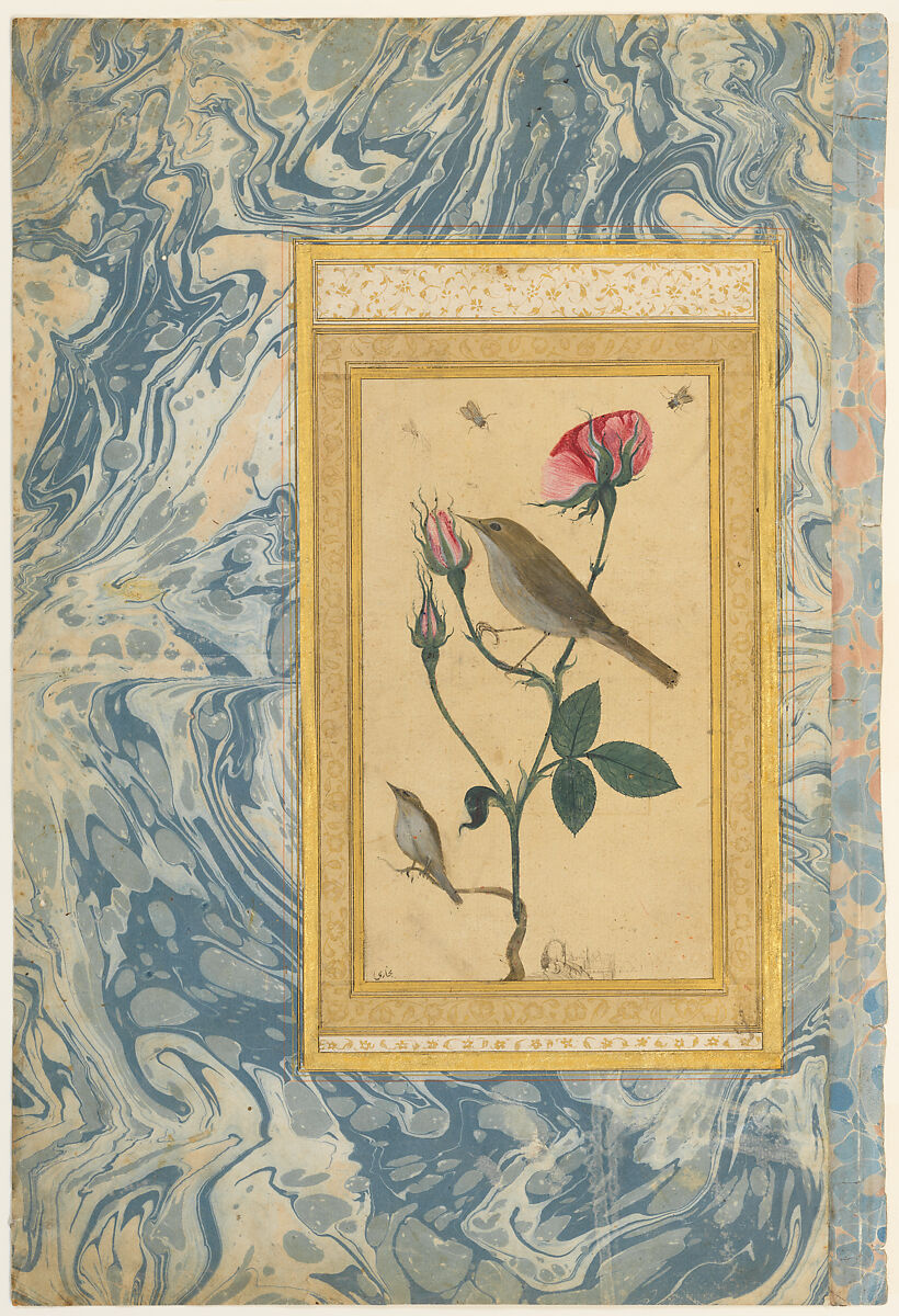 "Two Nightingales in a Rose Bush", Double-Sided Illustrated Leaf from an Ottoman Album, &#39;Abdullah Bukhari (Turkish, active ca. 1725–50s), Opaque watercolor with black ink, shell, and gold leaf on paper, with a marbled paper margin 