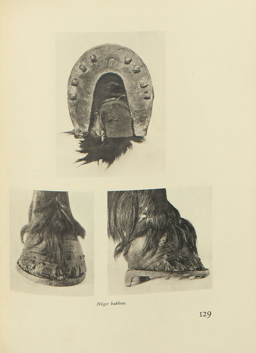Gustav II Adolf vid Lützen; Livrustkammarens Lützenminnen utg. av Rudolf Cederström