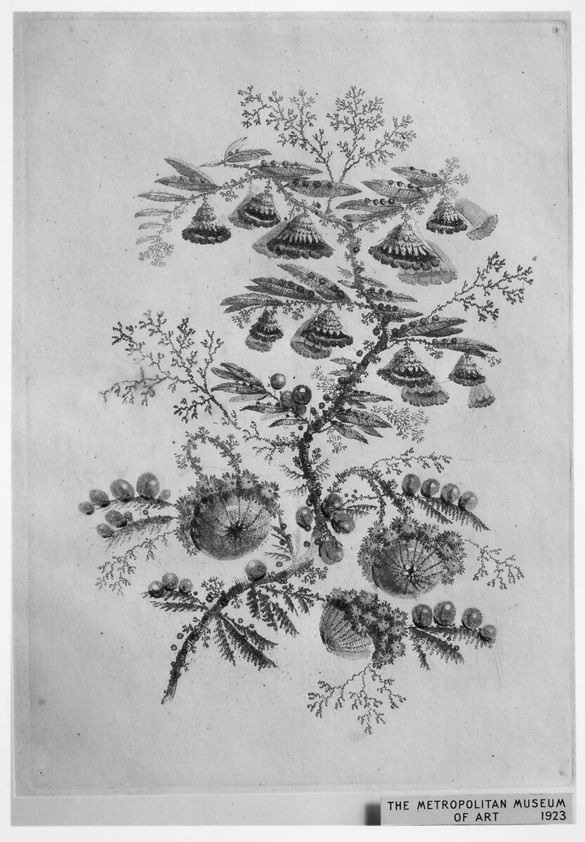 Flowers from "Nouvelle Suite de Cahiers de fleurs ideales a l'usage des dessinateurs et des peintres" (Nr 1), Jean Pillement (French, Lyons 1728–1808 Lyons), Etching, inked à la poupée 