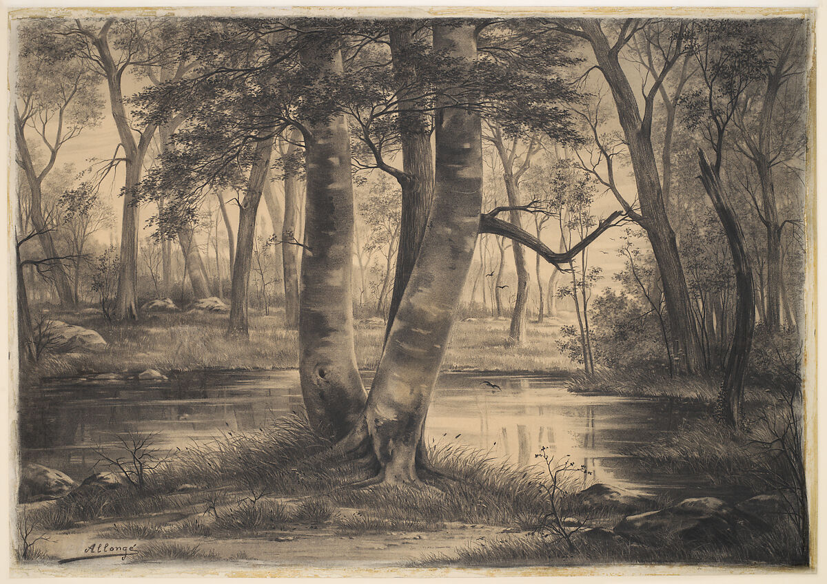 A Pond in the Forest of Fontainebleau, Auguste Allongé (French, Paris 1833–1898 Bourron-Marlotte), Charcoal 