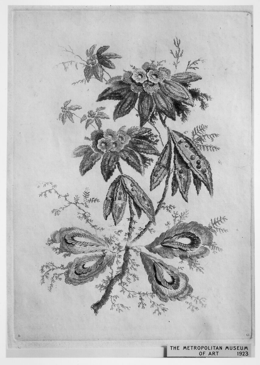 Flowers, from "Nouvelle Suite de Cahiers de Fleurs idéales a l'usage des dessinateurs et des peintres" (Nr 3), Jean Pillement (French, Lyons 1728–1808 Lyons), Etching, inked à la poupée 