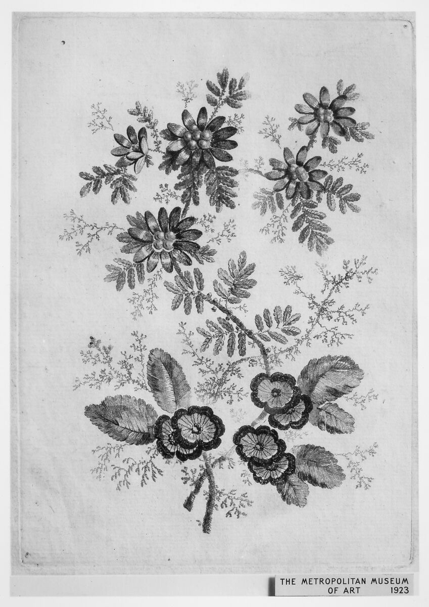 Flowers, from "Nouvelle Suite de Cahiers de Fleurs ideales a l'usage des dessinateurs et des peintres", Jean Pillement (French, Lyons 1728–1808 Lyons), Etching, inked à la poupée 