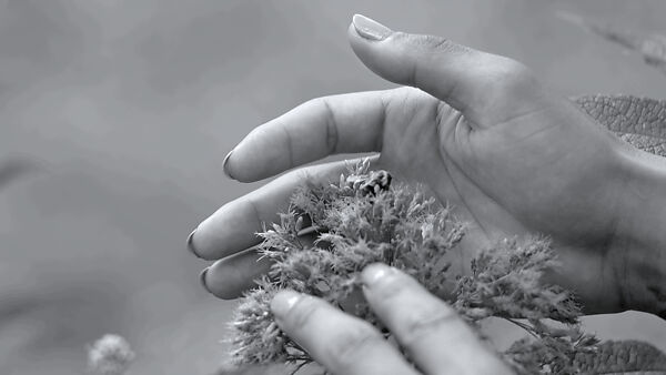 Pollinator, Tourmaline (American, born Boston, Massachusetts, 1983), Single-channel digital video, black-and-white and color, sound, 5 min., 8 sec.
