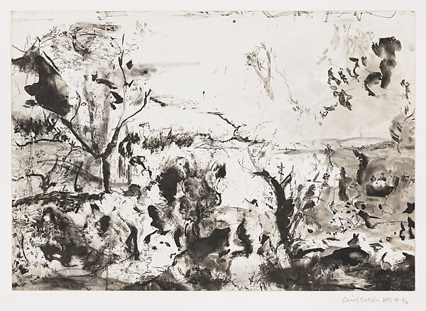 Untitled, Cecily Brown (British, born London, 1969), Etching with aquatint, drypoint, and softground etching 