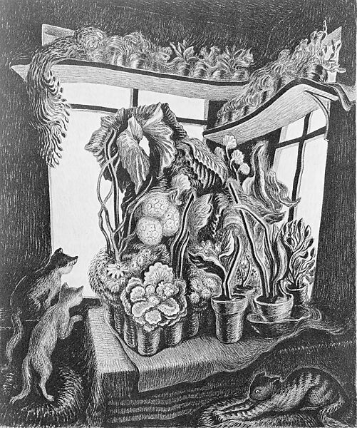 Winter Garden, Wanda Gag (American, 1893–1946), Lithograph 