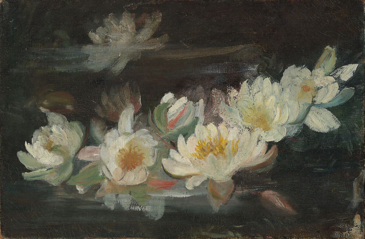 Water Lilies, Helena de Kay (1846–1916), Oil on canvas, American 