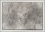 Nest no. 1, Zoe Leonard  American, Gelatin silver print