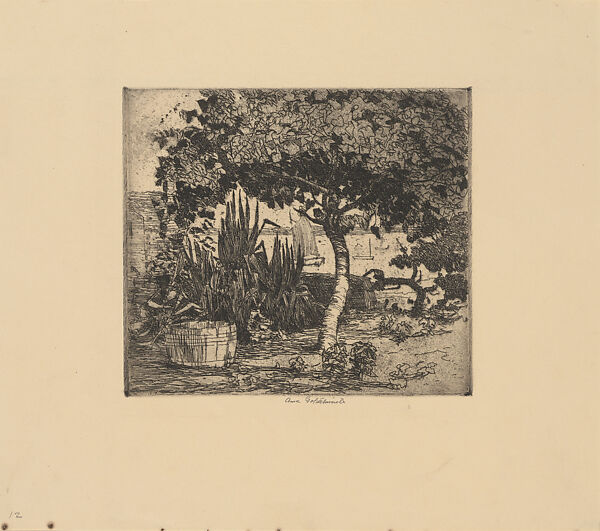 Deserted Garden, Anne Goldthwaite (American, Montgomery, Alabama 1869–1944 New York), Etching 
