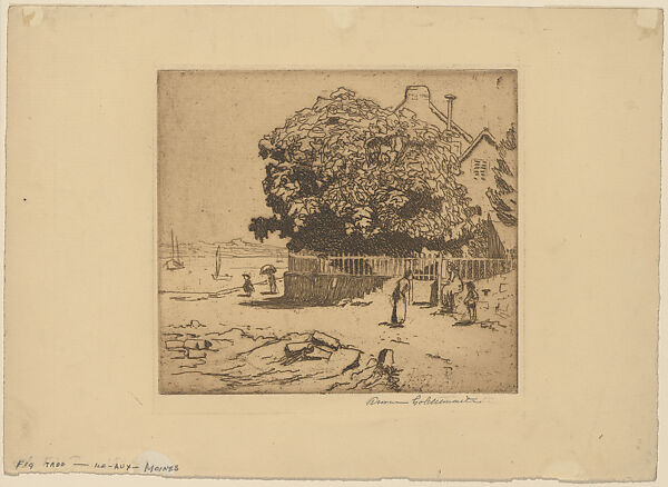 Fig Tree, Île-aux-Moines, Anne Goldthwaite (American, Montgomery, Alabama 1869–1944 New York), Etching 