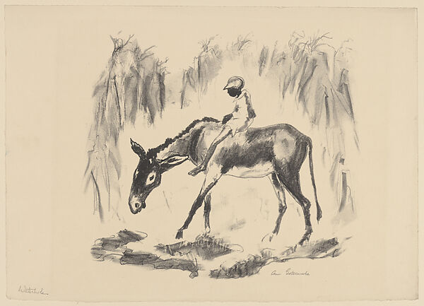 Waterhole, Anne Goldthwaite (American, Montgomery, Alabama 1869–1944 New York), Lithograph 