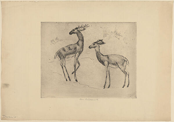 Deer, Anne Goldthwaite (American, Montgomery, Alabama 1869–1944 New York), Etching 