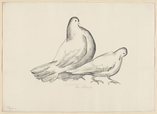 Pigeons (Cock and Hen), Anne Goldthwaite (American, Montgomery, Alabama 1869–1944 New York), Lithograph 