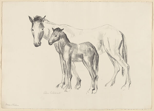 Mare and Foal, Anne Goldthwaite (American, Montgomery, Alabama 1869–1944 New York), Lithograph 