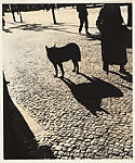 Berlin, György Kepes  American, born Hungary, Gelatin silver print