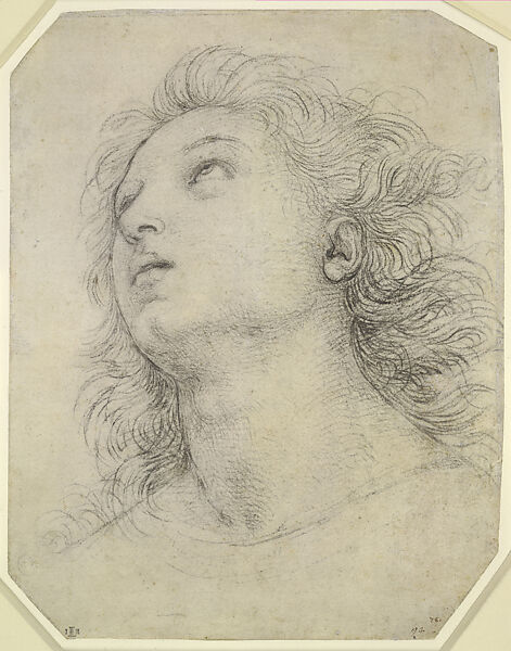 Head of an Apostle (Saint James; “Auxiliary Cartoon” for the Oddi Altarpiece), Raphael (Raffaello Sanzio or Santi)  Italian, Black chalk drawn freehand over pounce marks (spolvero underdrawing) on paper