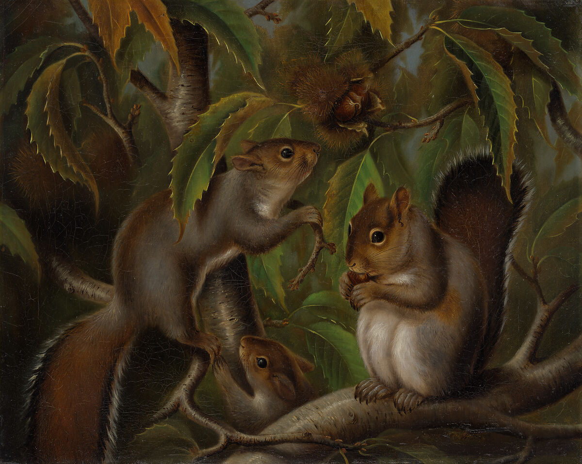 Untitled (Squirrels in a Chestnut Tree), Susan Catherine Moore Waters (American, 1823–1900), Oil on canvas, American 