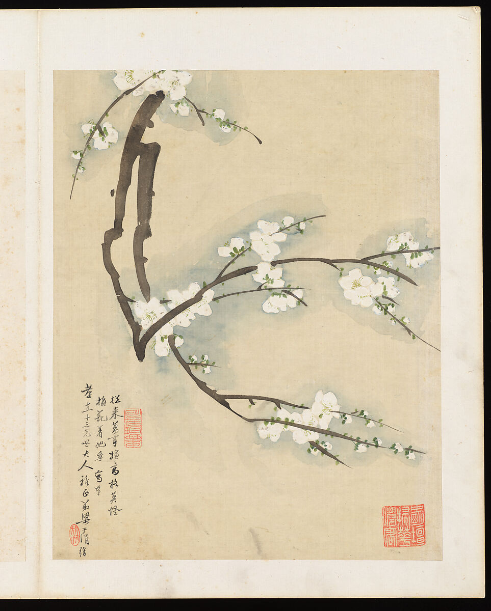 Flowers, Liang Yuwei (Chinese, 1844–1917), Album of twelve leaves; ink and color on silk, China