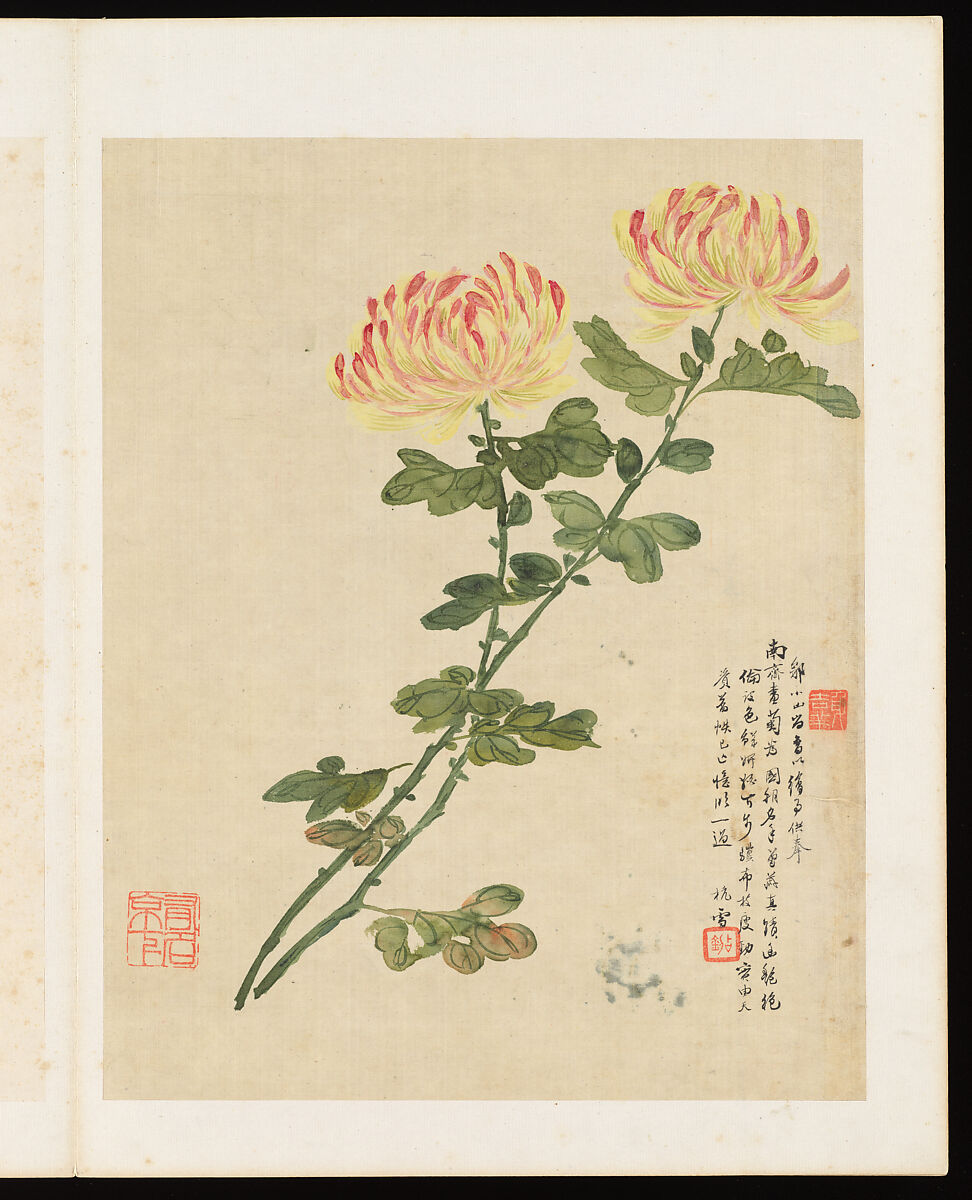 Flowers, Liang Yuwei (Chinese, 1844–1917), Album of twelve leaves; ink and color on silk, China