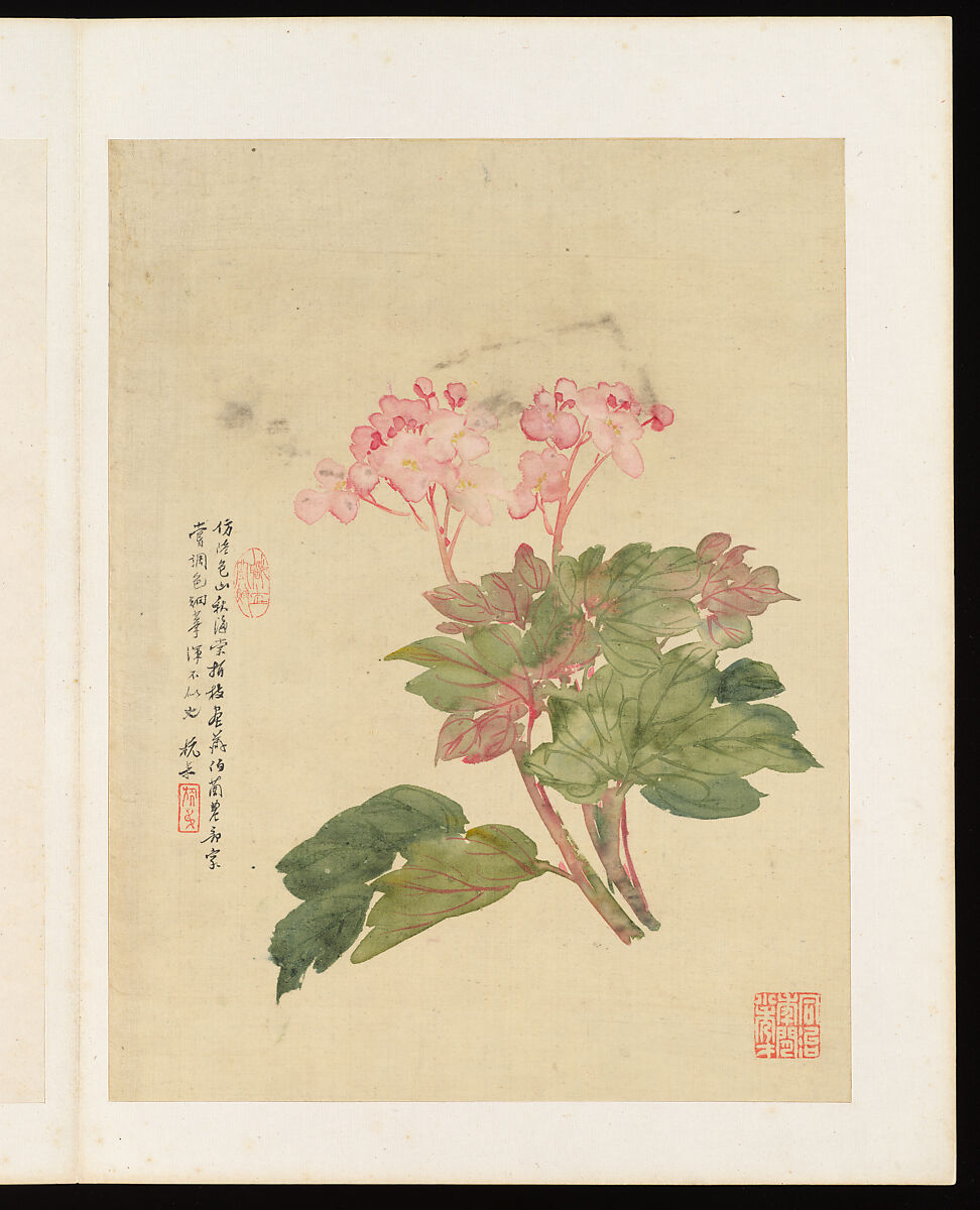 Flowers, Liang Yuwei (Chinese, 1844–1917), Album of twelve leaves; ink and color on silk, China