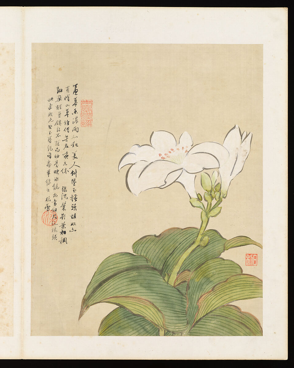 Flowers, Liang Yuwei (Chinese, 1844–1917), Album of twelve leaves; ink and color on silk, China