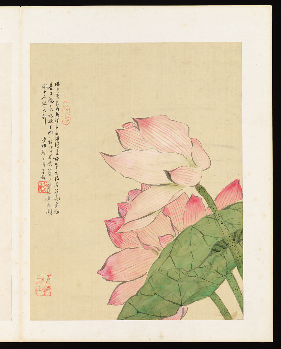 Flowers, Liang Yuwei (Chinese, 1844–1917), Album of twelve leaves; ink and color on silk, China