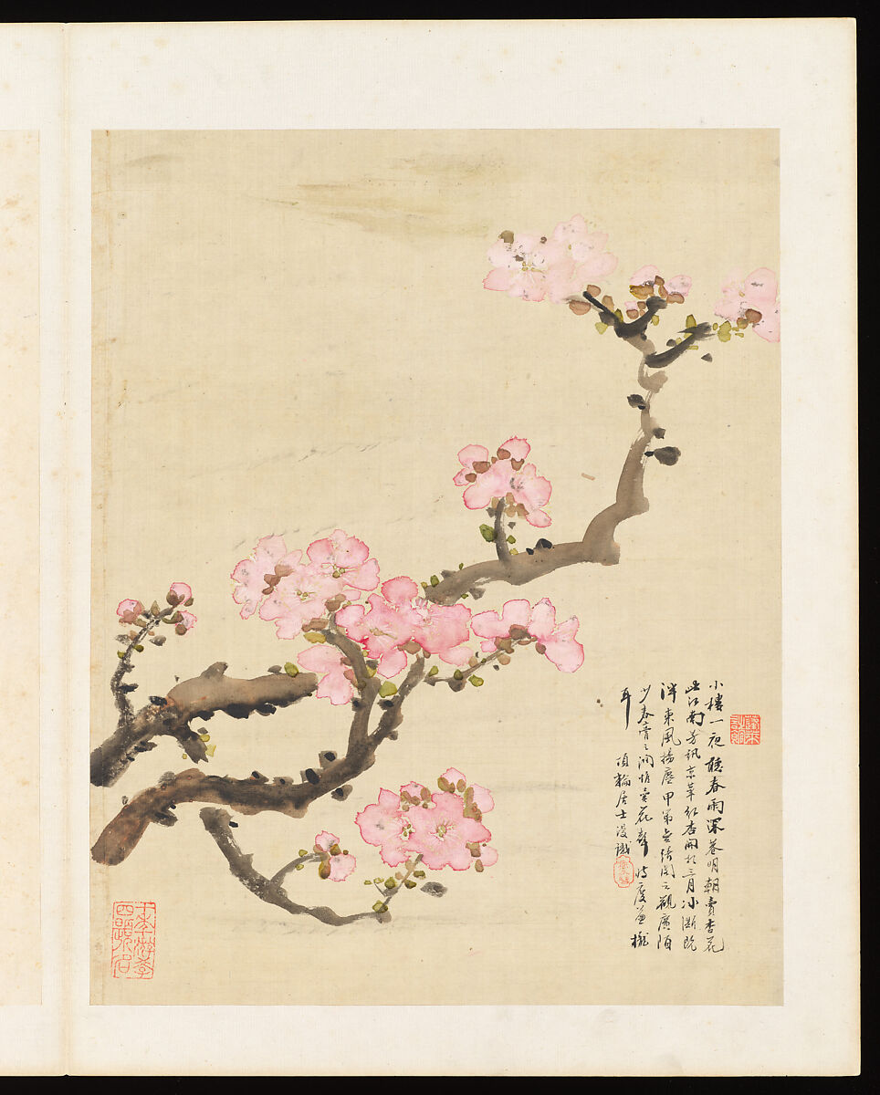 Flowers, Liang Yuwei (Chinese, 1844–1917), Album of twelve leaves; ink and color on silk, China