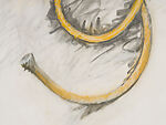 French Horn. Unwound. Hanging, Claes Oldenburg (American (born Sweden), Stockholm 1929–2022 New York), Charcoal and pastel on paper