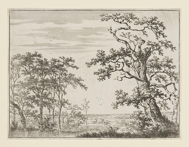 Landscape with Stream