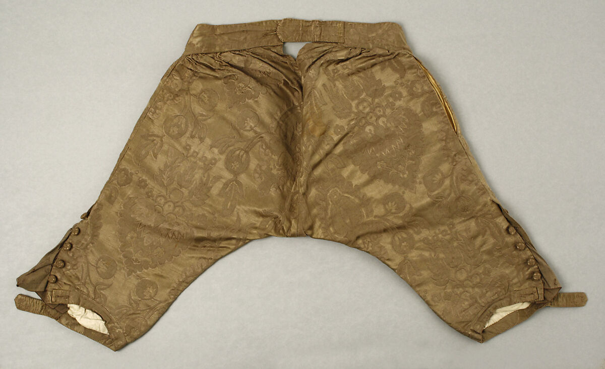 Breeches, silk, cotton, leather, British