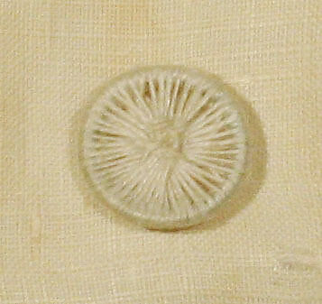 Shirt, [no medium available], American or European