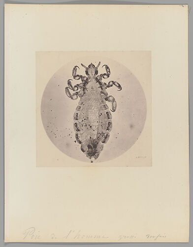 [Untitled]
