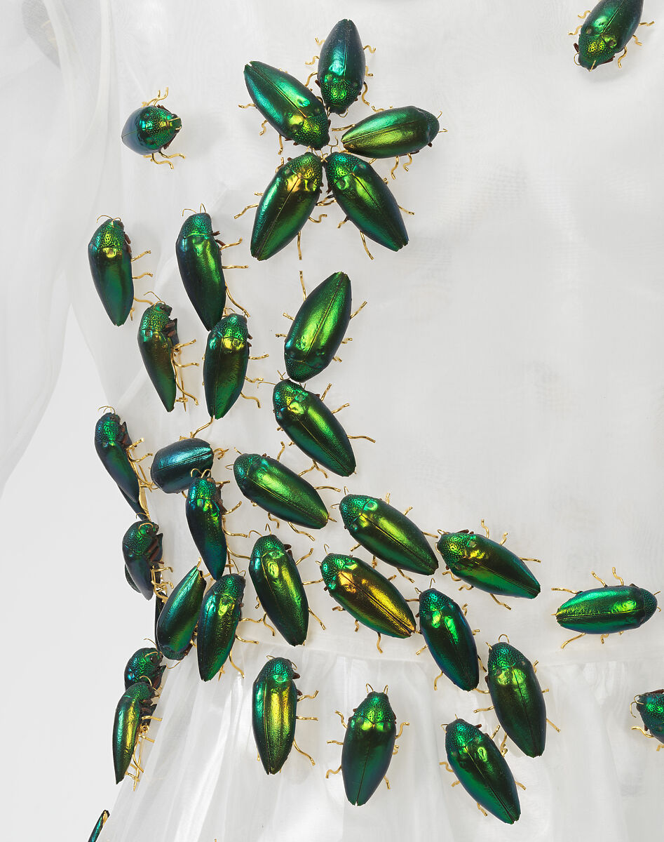 Dress, Dauphinette (American, founded 2018), silk, beetles (Jewel beetle, Sternocera aequisignata), metal, American