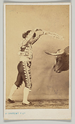 [Matador with Bull]