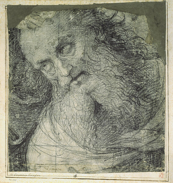 Bust of a Bearded Man (Cartoon Fragment for Joseph of Arimathea in the Altarpiece of Santa Chiara), Perugino (Pietro di Cristoforo Vannucci)  Italian, Black chalk, pricked for transfer, and squared, a second piece of paper (original) joined below, irregularly cut and roughly made up above