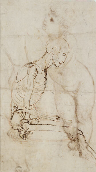 Sketches of a Standing Infant (Study for the Christ Child in the Belle Jardinière) (recto), Sketches Including a Skeleton (verso), Raphael (Raffaello Sanzio or Santi) (Italian, Urbino 1483–1520 Rome), Pen and brown ink over leadpoint, on laid paper (recto); pen and brown ink over leadpoint, with red chalk (verso)