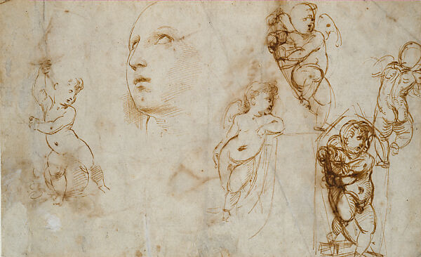 Studies for Saint Catherine and Various Putti, Raphael (Raffaello Sanzio or Santi)  Italian, Pen and brown ink over preliminary stylus underdrawing, possibly leadpoint and another metallic medium, on laid paper